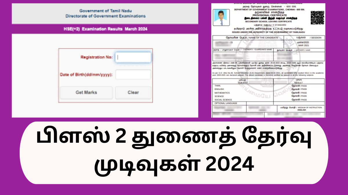 12th Supplementary Exam Result 2024 Released tamilnadu Download Marksheet